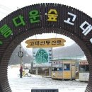 고대산산촌체험마을 Daum카페