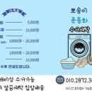 뽀송이 운동화 세탁 이미지