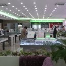 국가대표안경콘택트 이미지