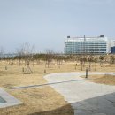 배곧한울공원 이미지
