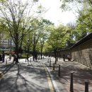 금오초교 이미지