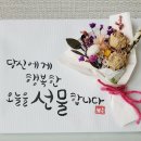 늘솜아트 이미지