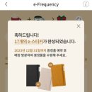 힐링아쿠아 이미지