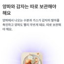 양파마켓