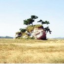 연기사랑마을 이미지