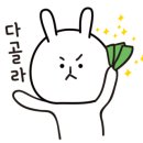 금영유통 이미지