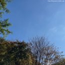 내공리700 이미지