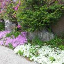 에덴시아 이미지