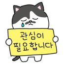 묘하우스 이미지