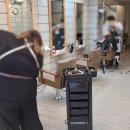 정스헤어 이미지