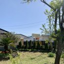 돌담집 | [제주/한림] 인생 애견동반펜션 &#39;명월성돌담집&#39; 한달살이 후기