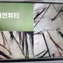 서연클린 이미지