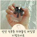 안산 선부동 다비네일 이달의아트 후기