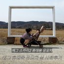 스카이2 | 실용성 좋은 휴대용 유모차 에그 스카이2 실사용 후기