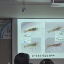 수성곤충-전대수 샘 이미지