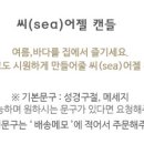 요미캔들