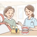 임플란트 vs 틀니 장단점 비교와 가격 차이 (65세 이상 보험 혜택) 이미지
