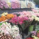 언덕배기꽃식물원 이미지