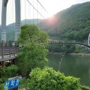 연하엽구름다리 이미지