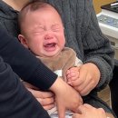 굿모닝의원 | D+191~199 🦁 6개월 아기 독감주사(오송굿모닝소아과) 첫 이빨😬🦷, 이유식 천재💛