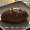 주간 일기