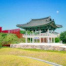 아라리황기막국수 | 강원도 영월 핫플 추천 젊은달 와이파크 / 강원도 여행지 추천 / 영월 가볼만한 곳 / 뮤지엄 카페 추천...
