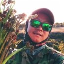 제주도 고비 이미지