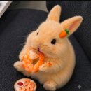 이슐이 누나벙은요 이미지