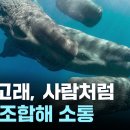 3303 고은별 - 미디어 융합 독서 일지 (1학기 5차) 이미지