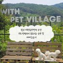 횡성 애견동반펜션 추천 위드펫빌리지 블루A동 숙박 및 바베큐후기