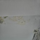 바이오타운 이미지