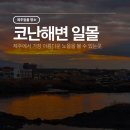 행원리휴식처 | [제주/코난해변] 제주에서 가장 아름다운 노을을 볼 수 있는 곳 (제주일몰명소)