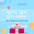 디에스축산유통