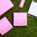 어성애견 이미지