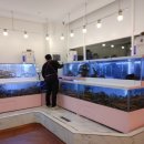 주식회사 더오시게 이미지