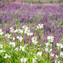 이렇게 좋은날 이미지