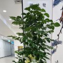 명원무역 이미지