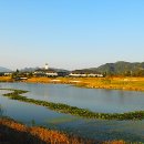 VIP골프존 이미지