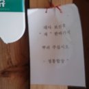 섬진강기차마을 시원한역 이미지