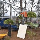 평전농장 이미지