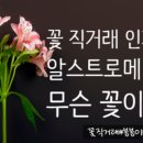 봉봉이네 농장