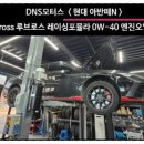 DNS 모터스 이미지