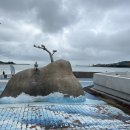 세파에 따르지 이미지