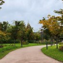 장자호수공원 이미지