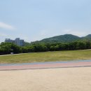 광명 하안동 맛집 | 포항물회·병풀상회 카페 후기
