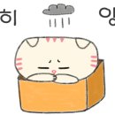 뜰안에냥 이미지