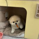 미본헤어 - 포항시 북구 | 미본헤어