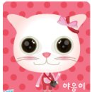 캔디캣 이미지
