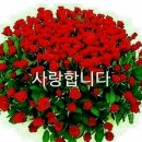 라이딩카페 이미지