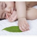 생명마루한의원 이미지